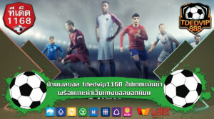 อัปเดตแม่นยำ พร้อมแนะนำเว็บแทงบอลยอดนิยม