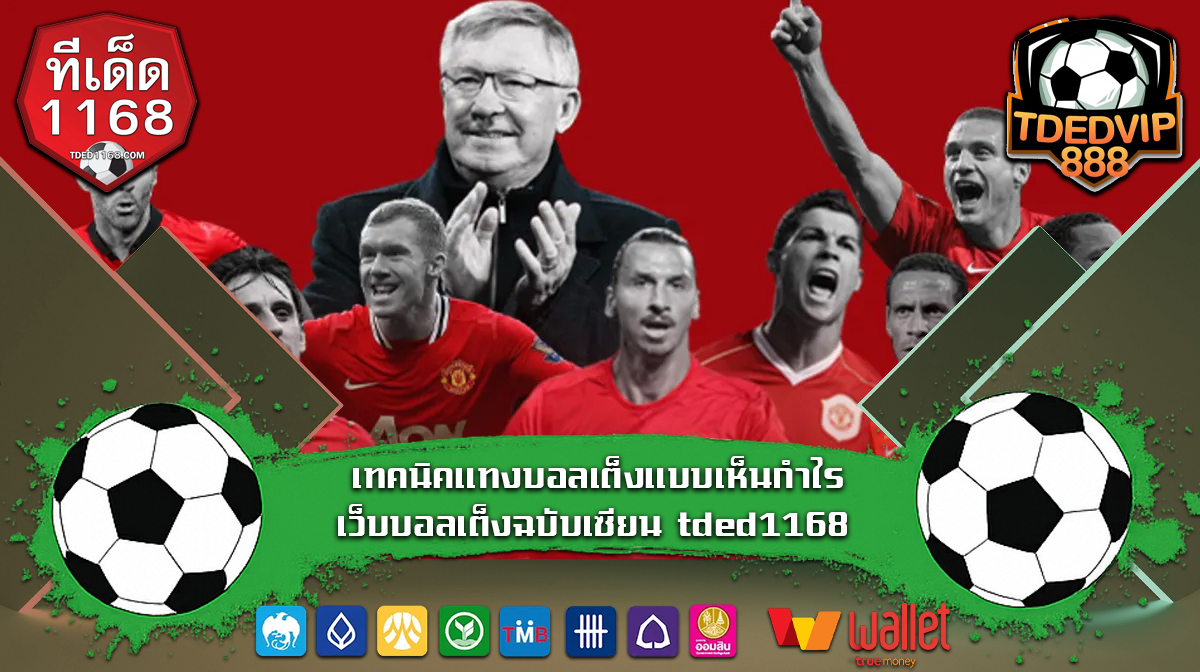 เทคนิคแทงบอลเต็งแบบเห็นกำไร เว็บบอลเต็งฉบับเซียน tded1168